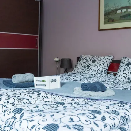 Central House Apartment *